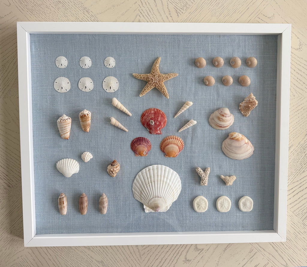Bespoke Coastal Blue Shell Study Art, 18" x 22"