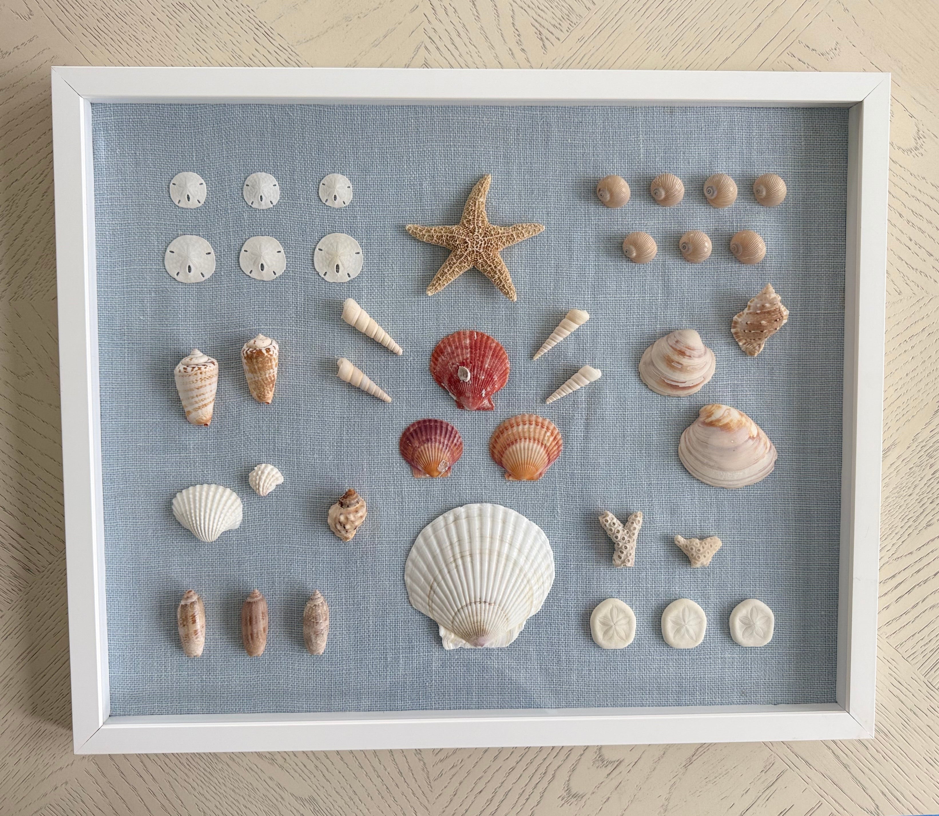 Bespoke Coastal Blue Shell Study Art, 18" x 22"