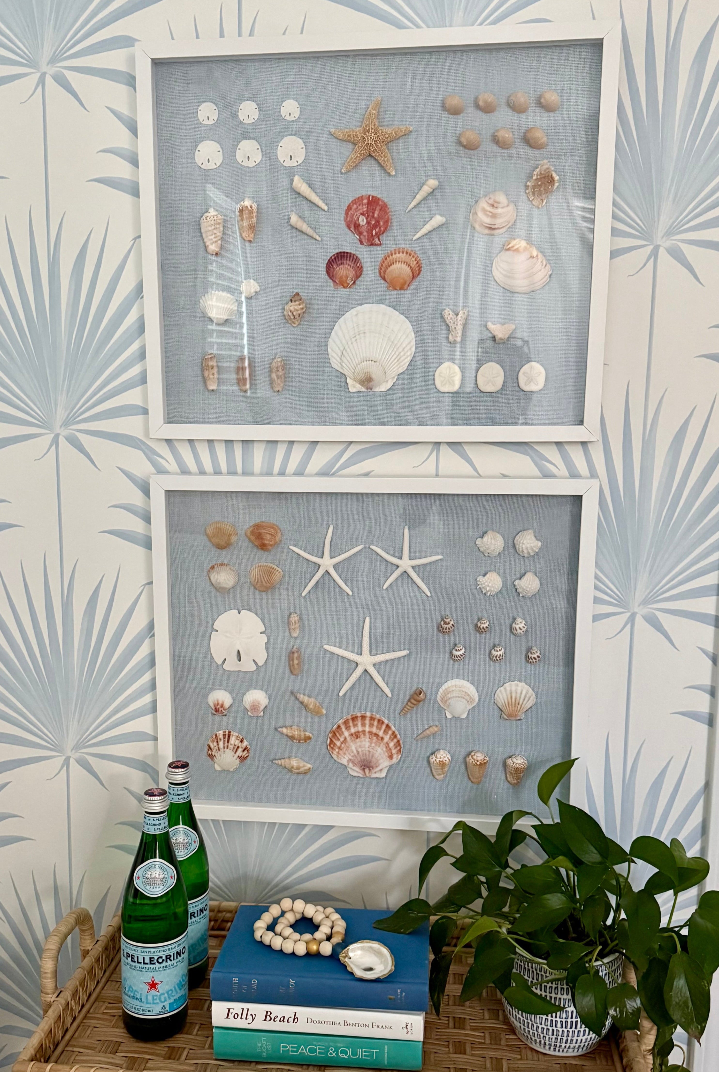 Bespoke Coastal Blue Shell Study Art, 18" x 22"