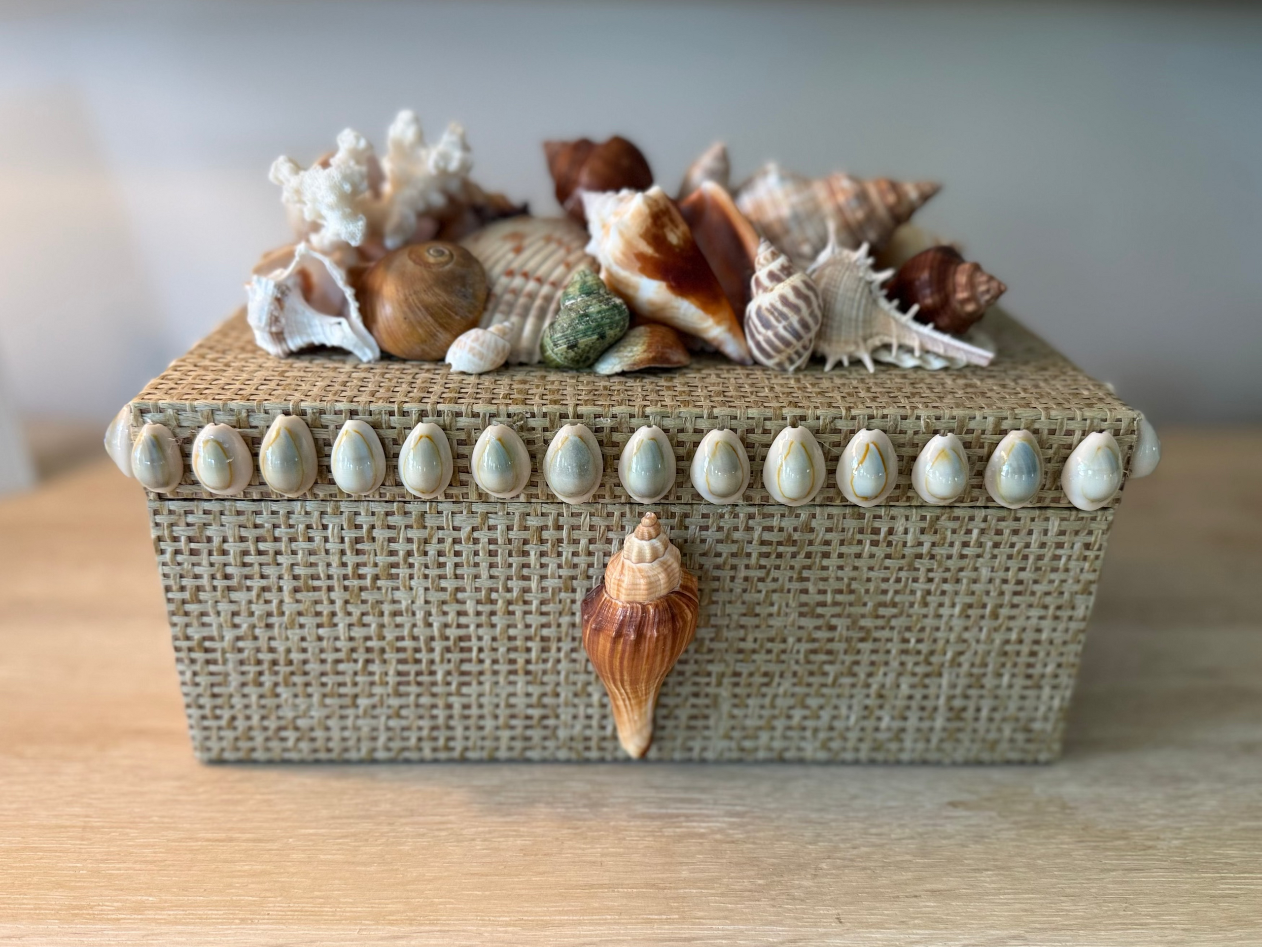 Shell Boxes