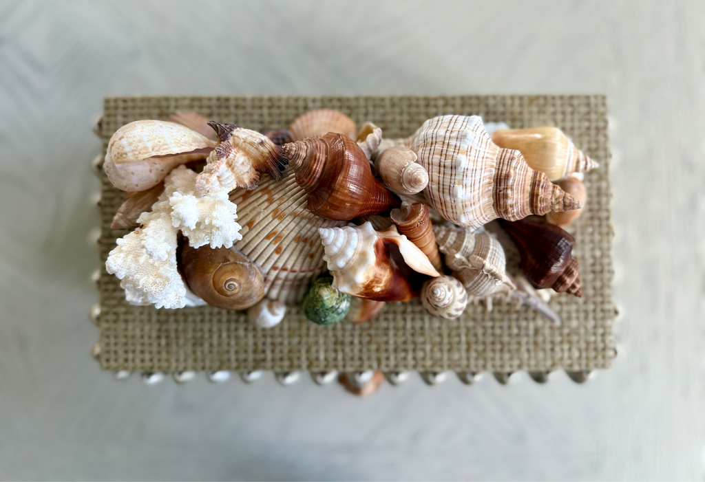 Bespoke Rattan Natural Shell Box