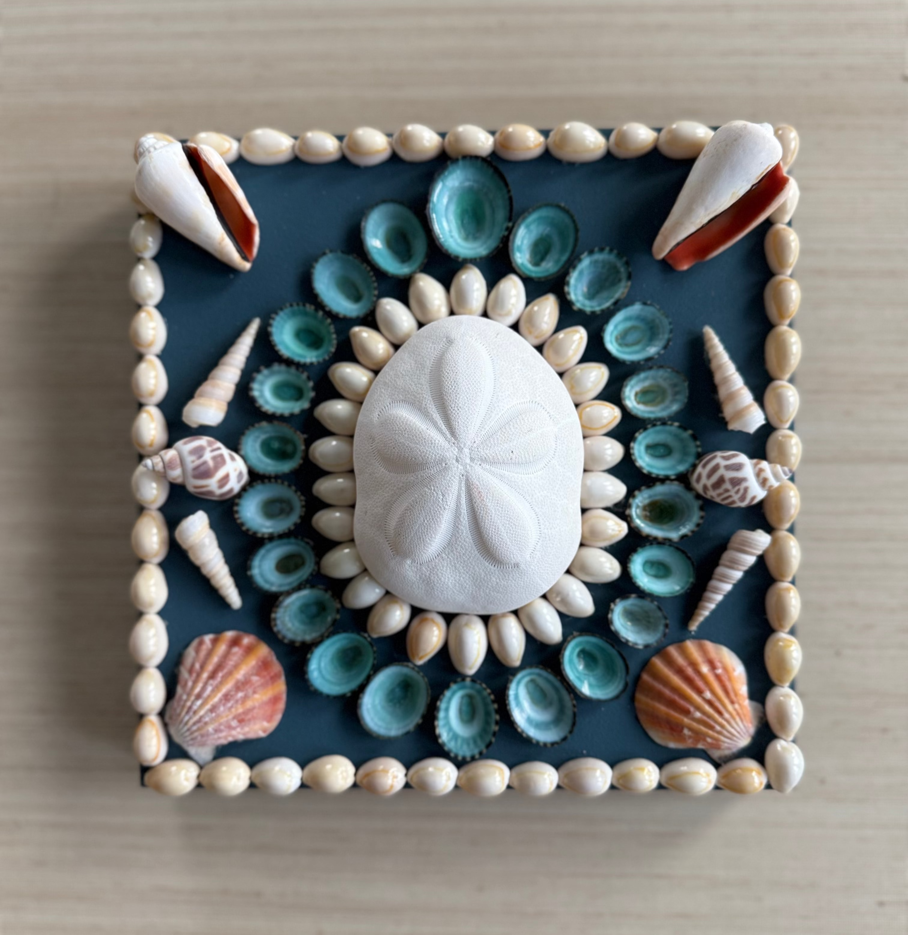 Mini Tempe Star Shell Panel, 8" x 8"