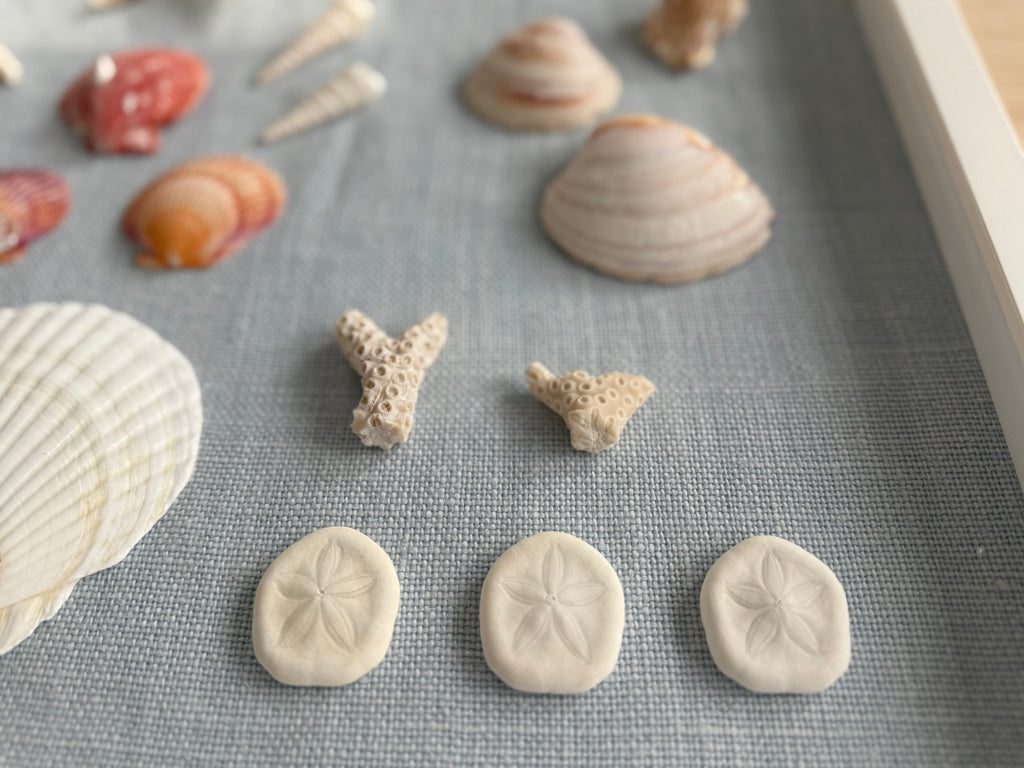 Bespoke Coastal Blue Shell Study Art, 18" x 22"