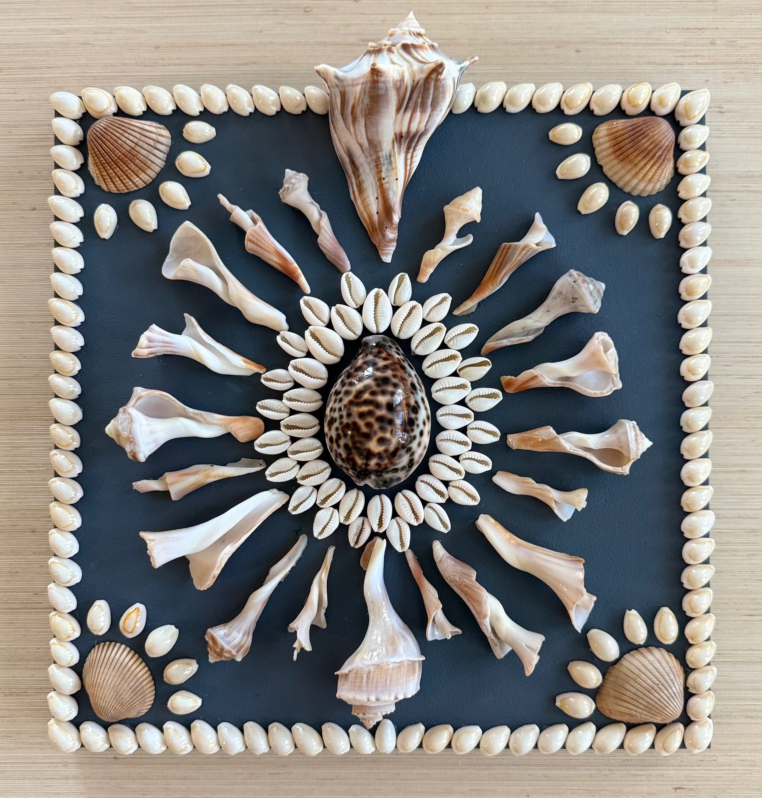 Night Out Shell Panel, 12" x 12"