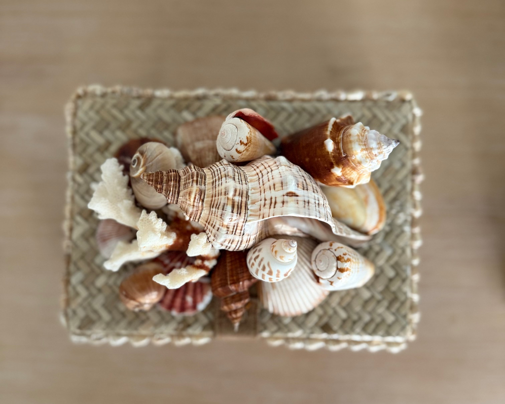 Bespoke Rattan Natural Shell Box