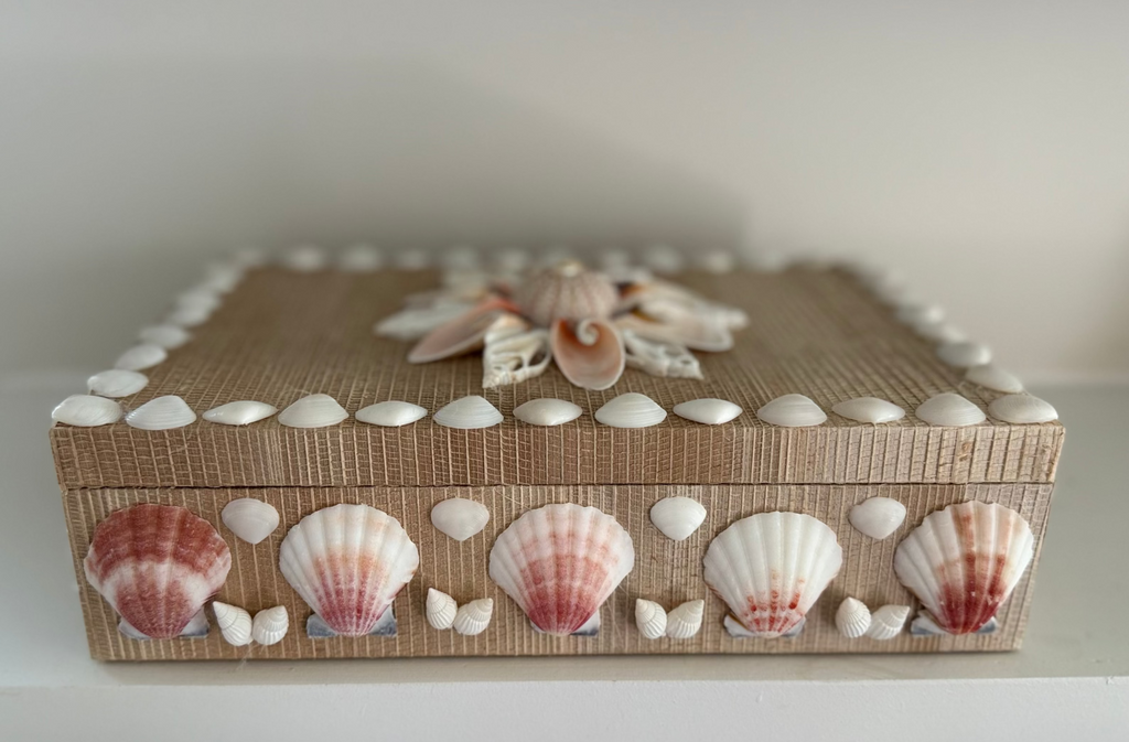 Handcrafted rattan shell box with blush and cream seashells on woven basket with lined interior, 10.75 x 6.75 x 3.75 inches