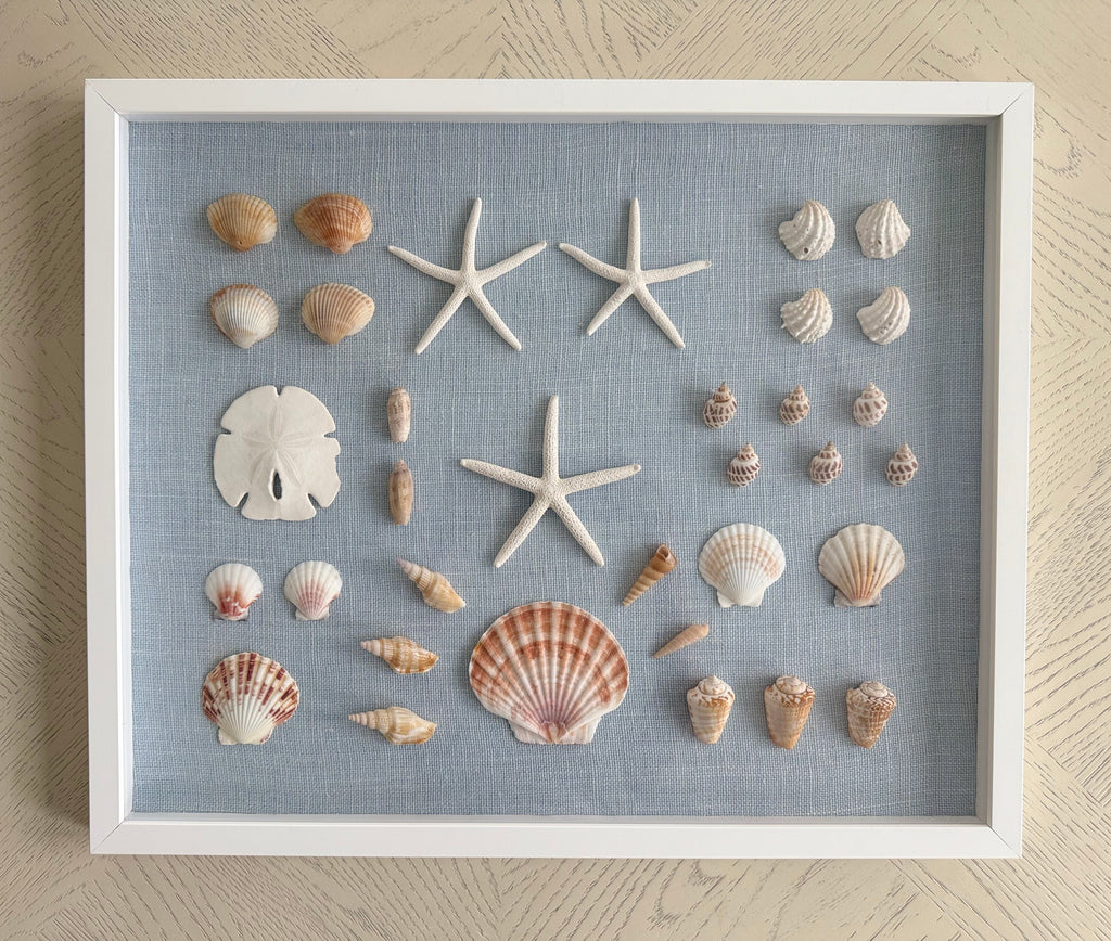 Bespoke Coastal Blue Shell Study Art, 18" x 22"