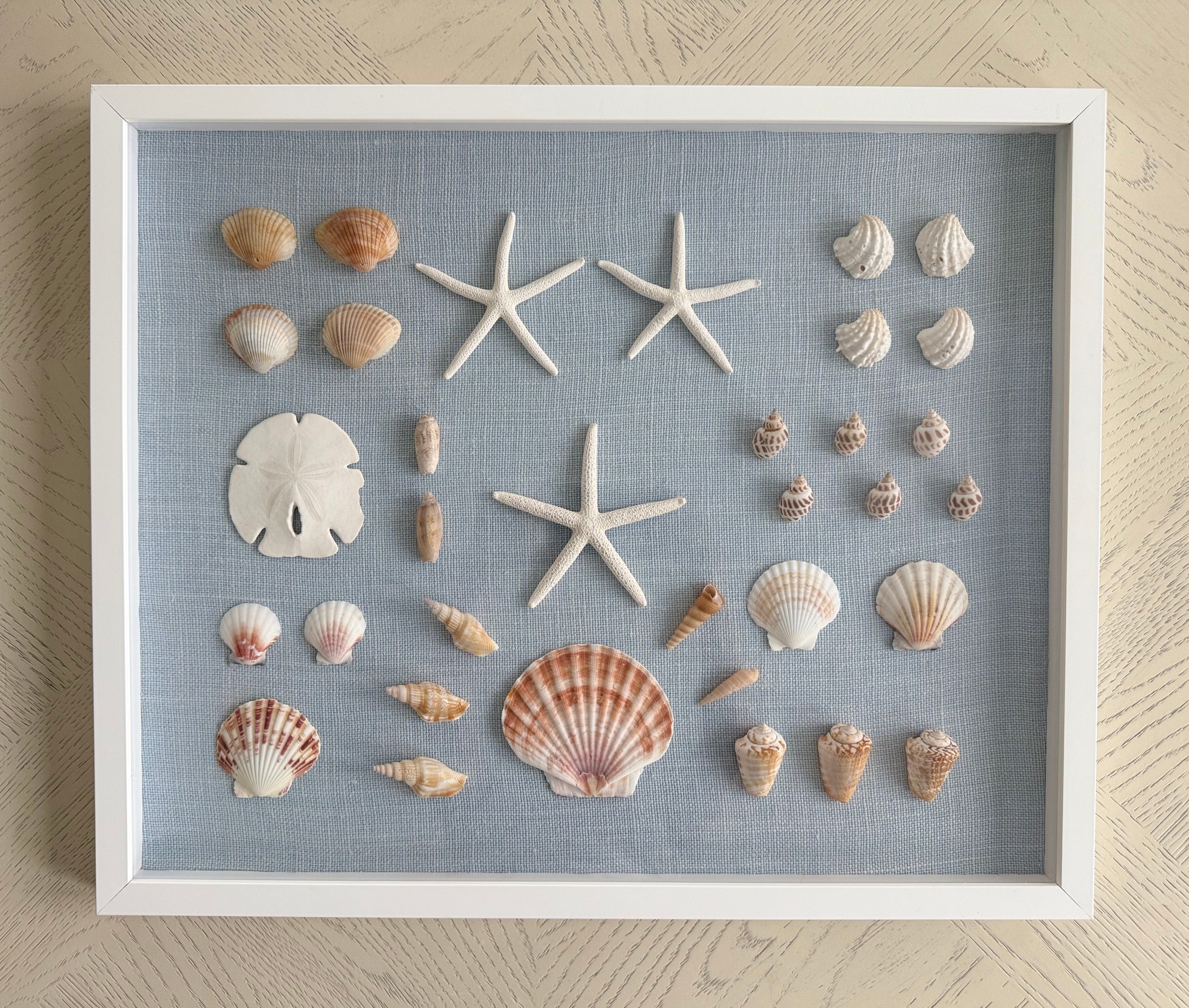 Bespoke Coastal Blue Shell Study Art, 18" x 22"