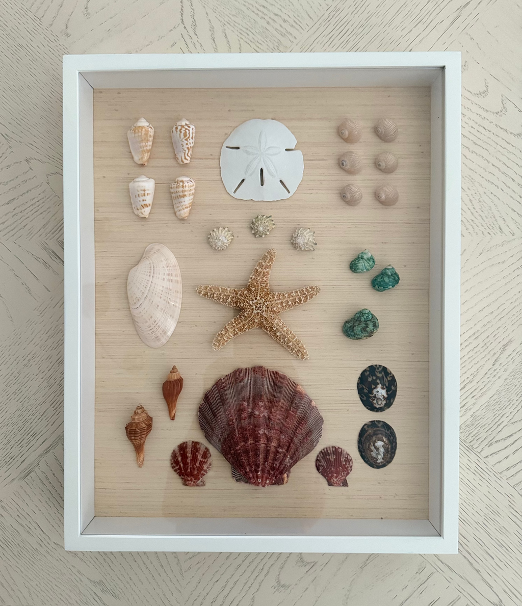 Shell study art with coral, sand, and blush-toned natural seashells on neutral grasscloth in white frame, 14 x 18 inches